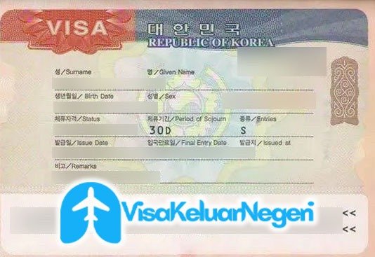 Layanan pengurusan visa ke Jepang 2025 cepat dan mudah